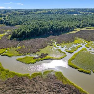 Photo #11 of 55 Ac  Vellines Lane, Carrollton, Virginia 55.5 acres