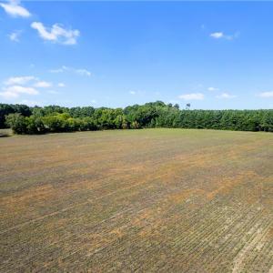 Photo #3 of 55 Ac  Vellines Lane, Carrollton, Virginia 55.5 acres