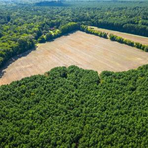 Photo #5 of 55 Ac  Vellines Lane, Carrollton, Virginia 55.5 acres