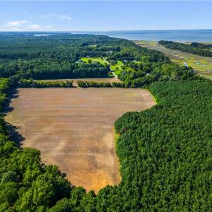 Photo #7 of 55 Ac  Vellines Lane, Carrollton, Virginia 55.5 acres