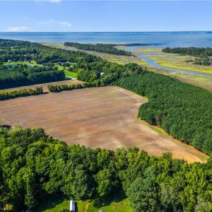 Photo #8 of 55 Ac  Vellines Lane, Carrollton, Virginia 55.5 acres