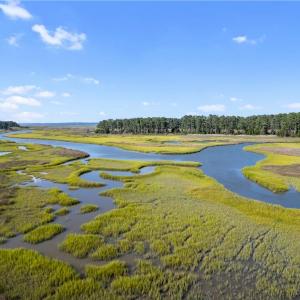 Photo #9 of 55 Ac  Vellines Lane, Carrollton, Virginia 55.5 acres