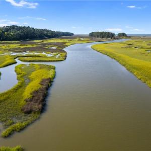 Photo #10 of 55 Ac  Vellines Lane, Carrollton, Virginia 55.5 acres