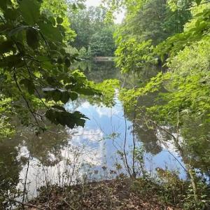 Photo #2 of 158 Highwood Circle, Newport News, Virginia 1.8 acres