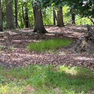 Photo #11 of 158 Highwood Circle, Newport News, Virginia 1.8 acres