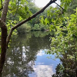 Photo #13 of 158 Highwood Circle, Newport News, Virginia 1.8 acres
