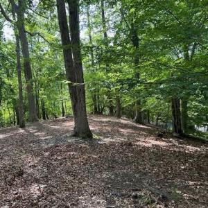 Photo #17 of 158 Highwood Circle, Newport News, Virginia 1.8 acres