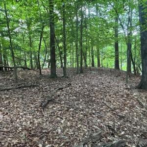 Photo #4 of 158 Highwood Circle, Newport News, Virginia 1.8 acres