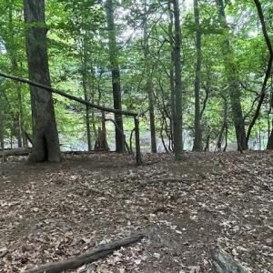 Photo #5 of 158 Highwood Circle, Newport News, Virginia 1.8 acres