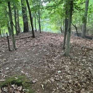 Photo #6 of 158 Highwood Circle, Newport News, Virginia 1.8 acres