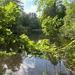 Photo #7 of 158 Highwood Circle, Newport News, Virginia 1.8 acres