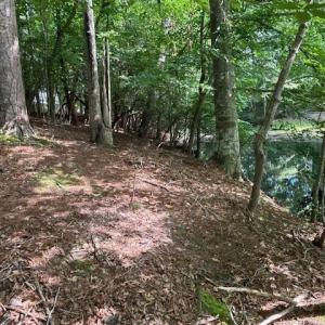 Photo #8 of 158 Highwood Circle, Newport News, Virginia 1.8 acres