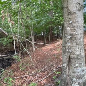Photo #9 of 158 Highwood Circle, Newport News, Virginia 1.8 acres