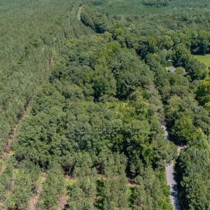 Photo #12 of 11464 Wakefield Road, Sedley, Virginia 5.5 acres