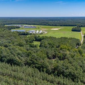 Photo #5 of 11464 Wakefield Road, Sedley, Virginia 5.5 acres