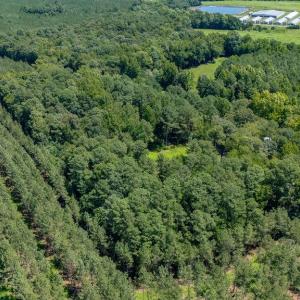 Photo #7 of 11464 Wakefield Road, Sedley, Virginia 5.5 acres