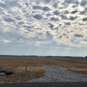 Photo #3 of 743 Bedford Street, Chesapeake, Virginia 3.8 acres