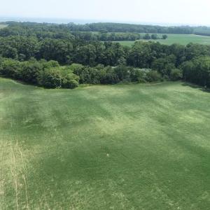 Photo #11 of 154 Metompkin Road, Parksley, Virginia 163.0 acres