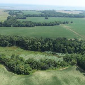 Photo #12 of 154 Metompkin Road, Parksley, Virginia 163.0 acres