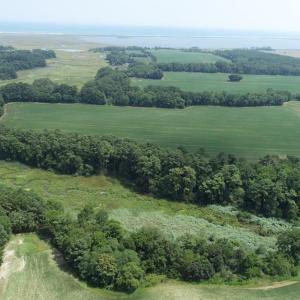 Photo #13 of 154 Metompkin Road, Parksley, Virginia 163.0 acres