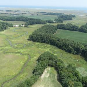 Photo #14 of 154 Metompkin Road, Parksley, Virginia 163.0 acres