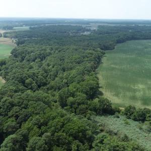 Photo #15 of 154 Metompkin Road, Parksley, Virginia 163.0 acres