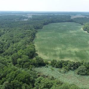 Photo #16 of 154 Metompkin Road, Parksley, Virginia 163.0 acres