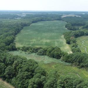 Photo #18 of 154 Metompkin Road, Parksley, Virginia 163.0 acres