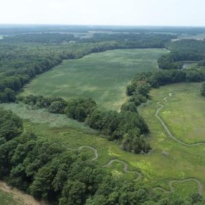 Photo #20 of 154 Metompkin Road, Parksley, Virginia 163.0 acres