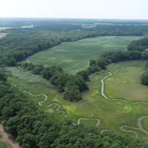 Photo #21 of 154 Metompkin Road, Parksley, Virginia 163.0 acres