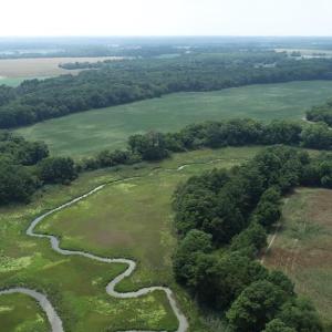 Photo #23 of 154 Metompkin Road, Parksley, Virginia 163.0 acres