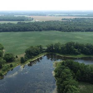 Photo #26 of 154 Metompkin Road, Parksley, Virginia 163.0 acres