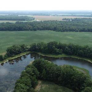Photo #27 of 154 Metompkin Road, Parksley, Virginia 163.0 acres