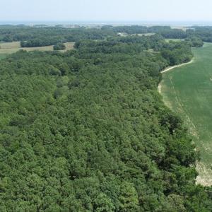 Photo #4 of 154 Metompkin Road, Parksley, Virginia 163.0 acres