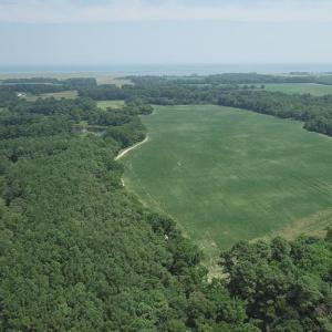 Photo #32 of 154 Metompkin Road, Parksley, Virginia 163.0 acres