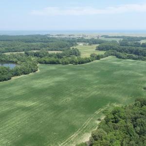 Photo #36 of 154 Metompkin Road, Parksley, Virginia 163.0 acres