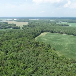 Photo #38 of 154 Metompkin Road, Parksley, Virginia 163.0 acres