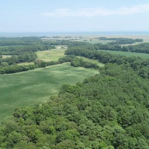 Photo #39 of 154 Metompkin Road, Parksley, Virginia 163.0 acres