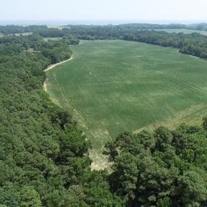 Photo #5 of 154 Metompkin Road, Parksley, Virginia 163.0 acres