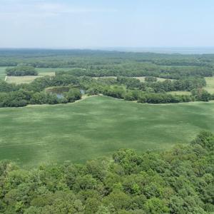 Photo #41 of 154 Metompkin Road, Parksley, Virginia 163.0 acres