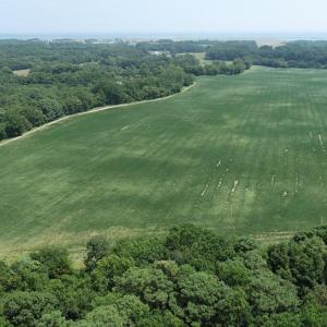 Photo #6 of 154 Metompkin Road, Parksley, Virginia 163.0 acres