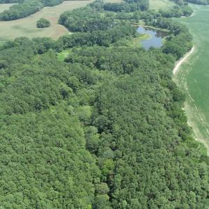 Photo #8 of 154 Metompkin Road, Parksley, Virginia 163.0 acres