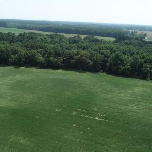 Photo #10 of 154 Metompkin Road, Parksley, Virginia 163.0 acres