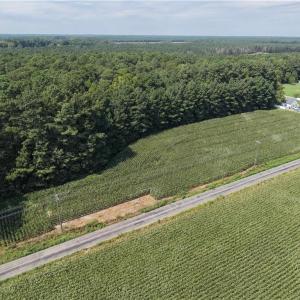 Photo #3 of White Marsh Road, Elberon, Virginia