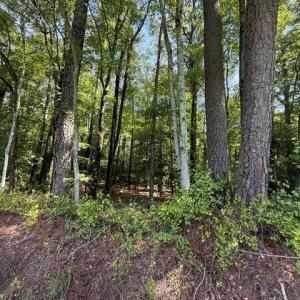 Photo #5 of White Marsh Road, Elberon, Virginia