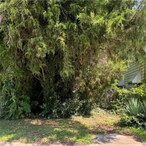 Photo #2 of 716 C Avenue, Norfolk, Virginia 0.1 acres