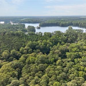 Photo #11 of 73.58 AC Milners Road, Suffolk, Virginia 73.6 acres