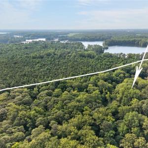 Photo #12 of 73.58 AC Milners Road, Suffolk, Virginia 73.6 acres