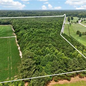 Photo #14 of 73.58 AC Milners Road, Suffolk, Virginia 73.6 acres