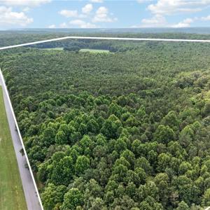 Photo #15 of 73.58 AC Milners Road, Suffolk, Virginia 73.6 acres